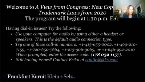 A View from Congress: New Copyright and Trademark Laws Thumbnail