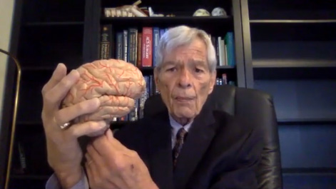 What You Need to Know and Do to Try a Chronic Traumatic Encephalopathy Case Thumbnail